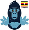 Friend a Gorilla, Uganda