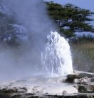 Hot Springs in Semuliki Park