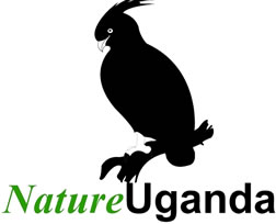 Nature Uganda