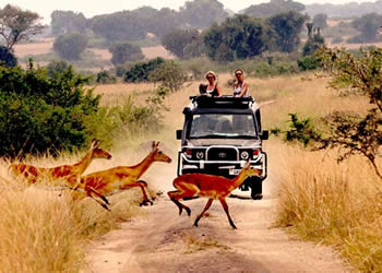 20 Days Uganda Safari