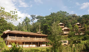 Lodges in Bwindi