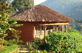 Lodges in Bwindi forest