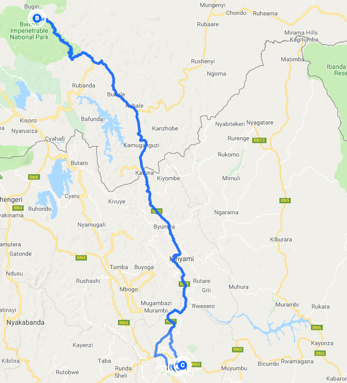 1 Day Uganda Gorilla Trek from Kigali
