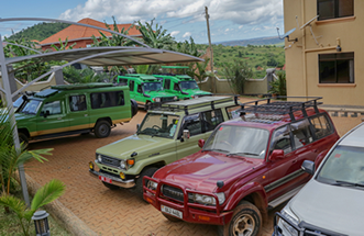 Safari vehicles