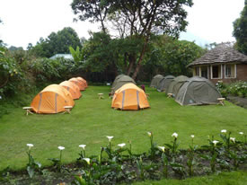 Lodges in Mgahinga Forest