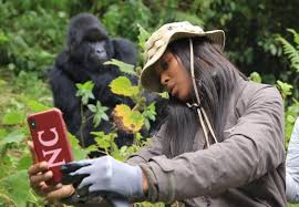 Travelers warned agianst selfies with gorillas