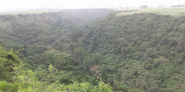 Kyambura gorge