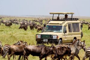 7 Days Tanzania Wildebeest Migration Safari