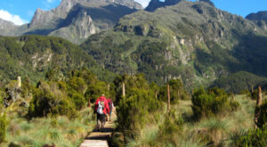 Uganda mountaineering safari