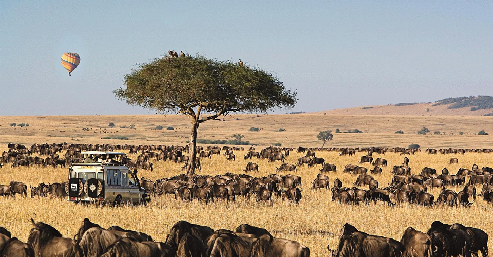 5 days wildebeest migration safari