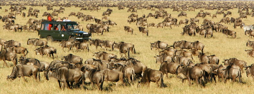 7 days Kenya safari Tour